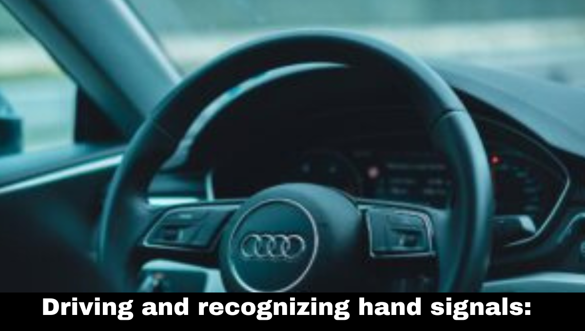 Driving and recognizing hand signals:
